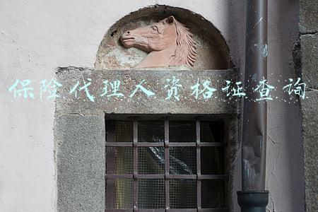 保险代理人资格证查询