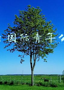 you 国际青年公寓