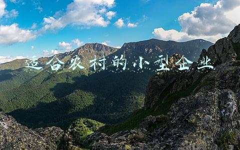 适合农村的小型工厂(灵台：乡村就业“小工厂”发挥增收“大作为”)