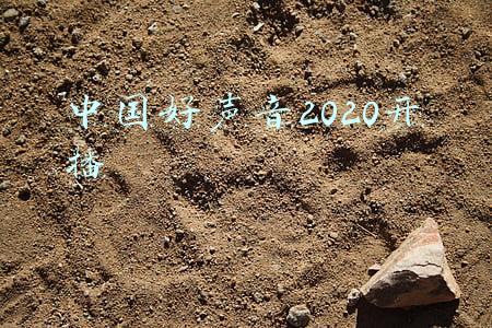 中国好声音2020开播 视频(《2020中国好声音》首播告捷，抢人大战四大导师各出奇招)