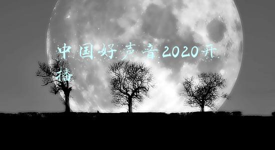 中国好声音2020在线观看完整版高清(《2020中国好声音》落幕，李健战队单依纯夺冠)