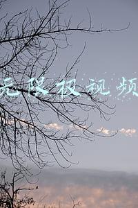张津瑞讲无限极视频(《大豫创业者》专访「答案茶」缔造者张津瑞（上）_大豫创业者)