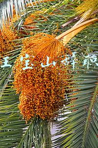 王宝山下课(王宝山自曝为何从建业下课：酒后吐槽管理层，被人偷拍给老板)
