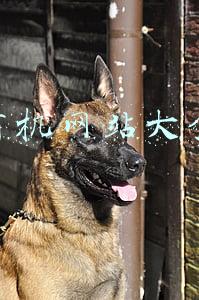 一路商机网官方网站(一带一路给我们带来巨大商机)