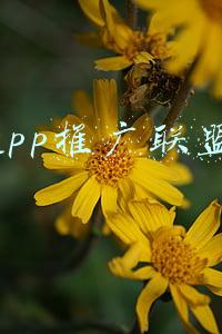 app推广联盟平台(这款应用，让Windows软件也能在Mac上使用起来)