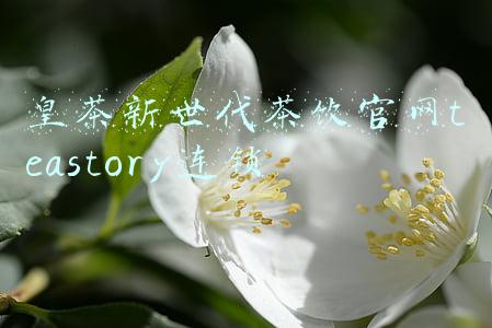 皇茶新世代茶饮官网teastory连锁
