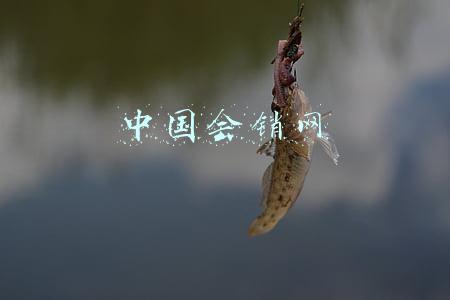 中国会销网