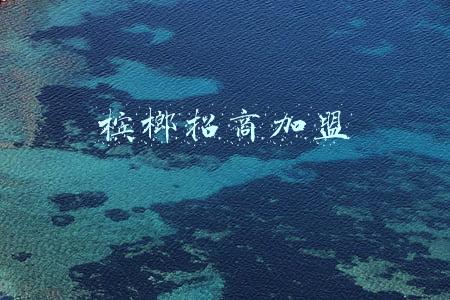 槟榔招商加盟