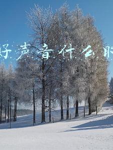 今年中国好声音什么时候开播(10周年！8位“导师”！《2021中国好声音》定档7月30日开播)