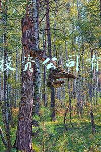 项目投资公司有哪些