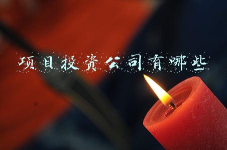 项目投资公司有哪些
