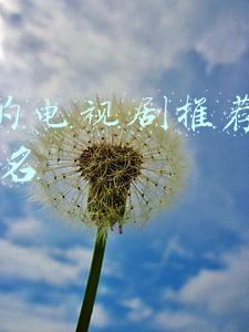 好看的电视剧推荐几部 前十名古装(比较耐看的十部古装剧，每部都刷了三遍以上)