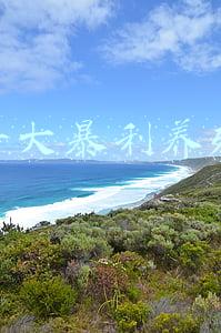 十大暴利养殖