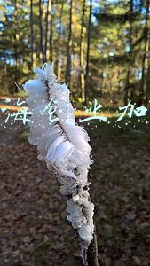 上海创业加盟