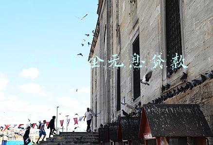 创业基金无息贷款