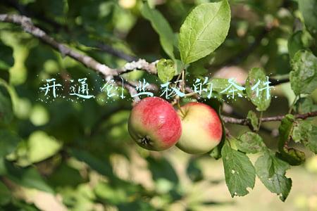 股票账户开通创业板的条件(最全新三板挂牌、上市及转板条件)