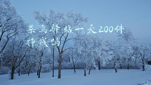 菜鸟驿站一天200件挣钱吗