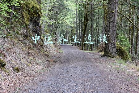深圳中医养生连锁(用中医创新儿童康复模式 北中医深圳医院中医门诊部揭牌)