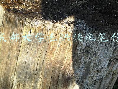 成都大学毛洪涛绝笔信全文(成都大学毛洪涛溺亡调查结果公布：其朋友圈有关内容，缺乏事实依据)