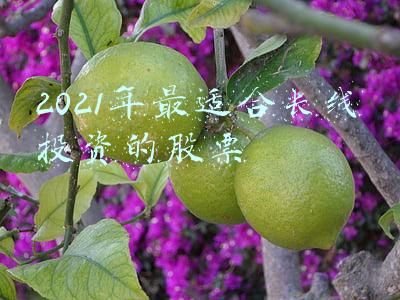 2022年最适合长线投资的股票(A股：2022年涨幅最大的十只股票)