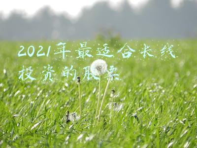 2021年最适合长线投资的股票