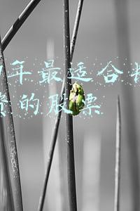 2021年最适合长线投资的股票有哪些啊(2021年A股市场投资机会在哪里？哪些概念股最值得投资？)