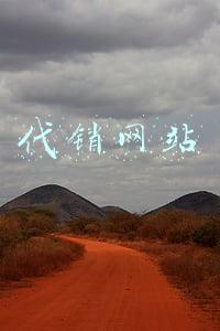 代销网站