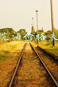 皖酒价格表价格大全(皖酒五朵金花系列之迎驾贡酒（含价格）)