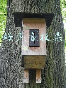 好声音投票