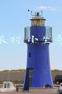 2022年农村小生意(2022年开始4门生意会很火爆，提前布局，之后大批人会“抢着干”)