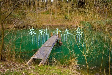 藏在农村的暴利小生意(未来农村3大赚钱行业，谁能抓住机会？有人已经在做了)