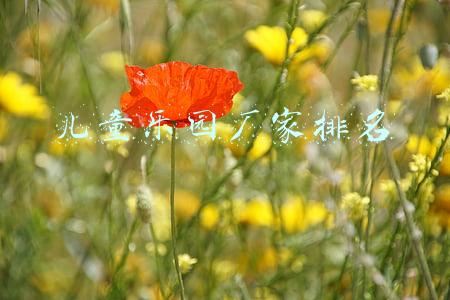 儿童乐园设备厂家哪家好(蹦床公园哪家厂家好？厂家应该怎么选？)