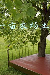 10元一亩农场土地出租广州(一对夫妻花58万建成10亩农场，他们的投资盈利模式，是这样做的)