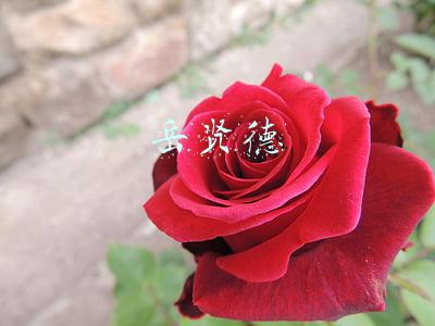 岳贤德创业案例(凌晨，济南一名六旬老人被困家中 消防员破门救援)