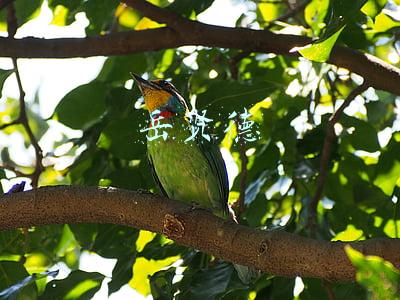 岳贤德吉利车标(怎样理解财商？)