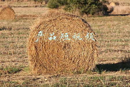 产品短视频