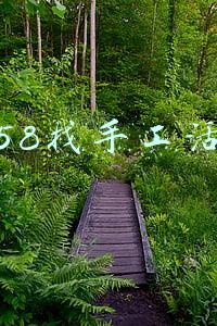 去哪里找手工活(想打零工吗？想做手工活吗？和我一起吧！2)