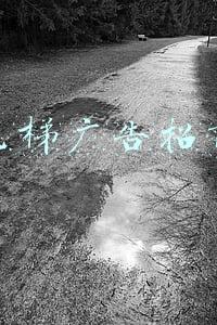 电梯广告招商