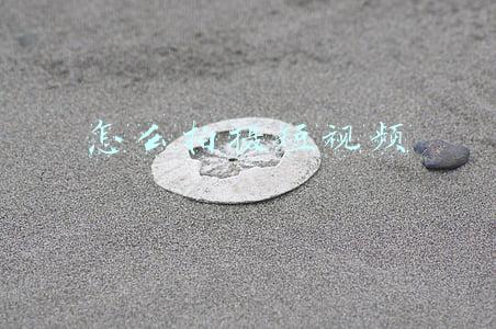 怎么拍摄短视频