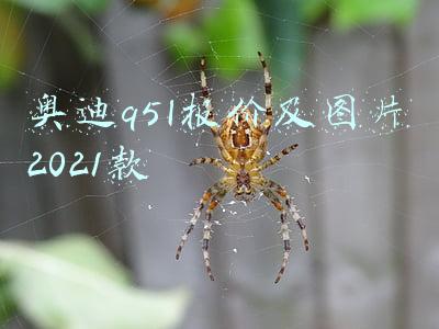 奥迪q5l报价及图片2021款内饰(2021款奥迪Q5L进店，配置升级，现款优惠8.8万，适合抄底？)