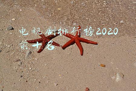 网络小说电视剧排行榜2020前十名(热门甜宠剧网播量TOP10！《荣耀》结局冲破29亿，冠军神剧达252亿)