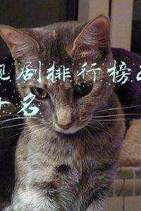 电视剧排行榜2020前十名喜剧(2020年，值得一看的6大搞笑古装剧，总会有一部是你的菜)