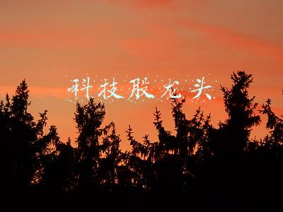 科技龙头股一览表(突放利好，“果链”巨头出“王炸”！高增长科技龙头名单来了，千亿芯片股入围，电子巨头砸出黄金坑)