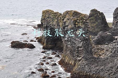 科技股龙头股票(中国股市：A股这5家高端科技龙头企业，研发投入比例赶超华为)