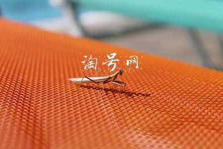 淘号网买淘宝号真的吗(淘宝验号软件哪个好？)