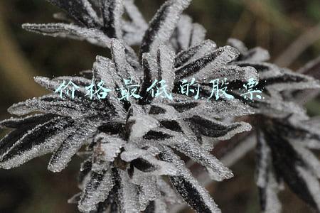 价格最低的股票