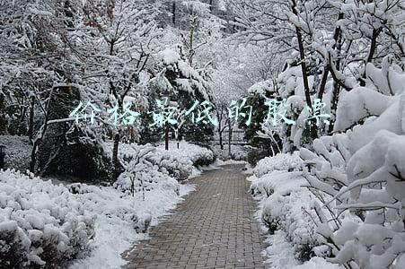 价格最低的股票