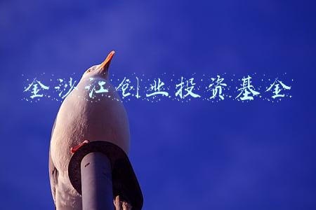 金沙江创业投资基金