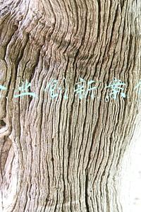 企业创新案例