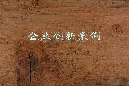 企业创新案例